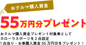 55万円分プレゼント