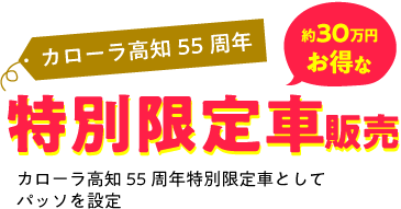 特別限定車販売