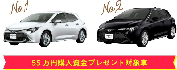 プレゼント対象車