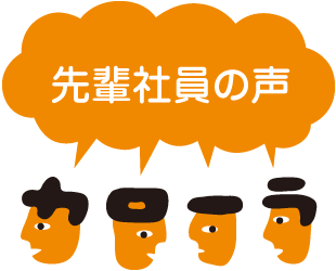 先輩社員の声